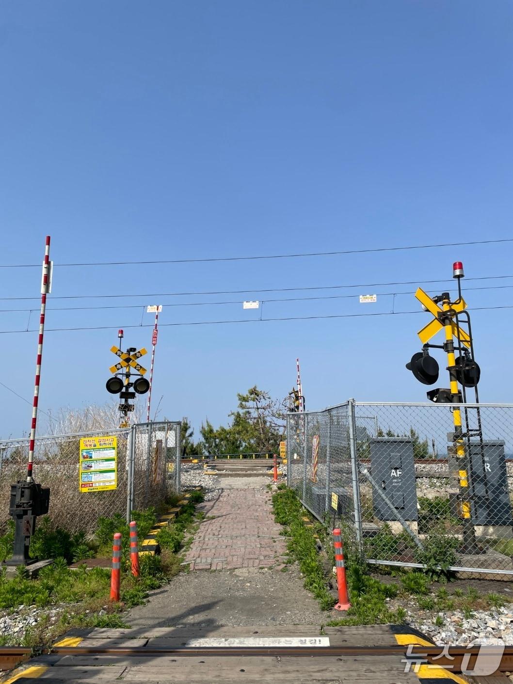 본문 이미지 - 강원 동해시 하평해변 철도건널목.(뉴스1 DB)