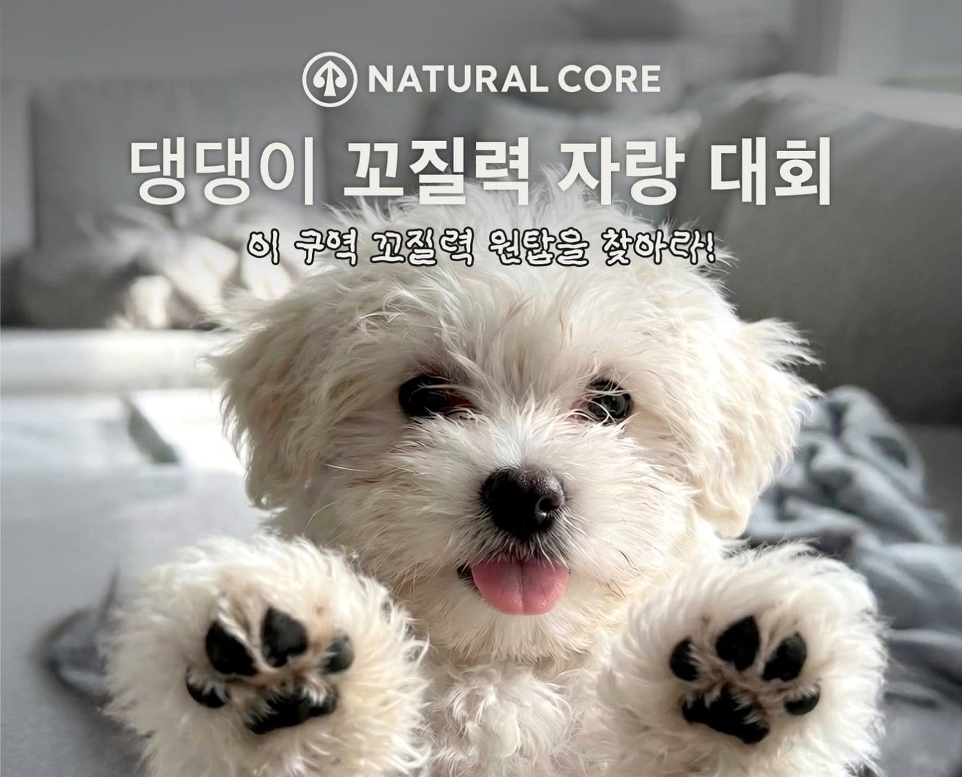 본문 이미지 - 네츄럴코어는 오는 23일까지 공식 인스타그램을 통해 '댕댕이 꼬질력 자랑 대회'를 개최한다(업체 제공). ⓒ 뉴스1