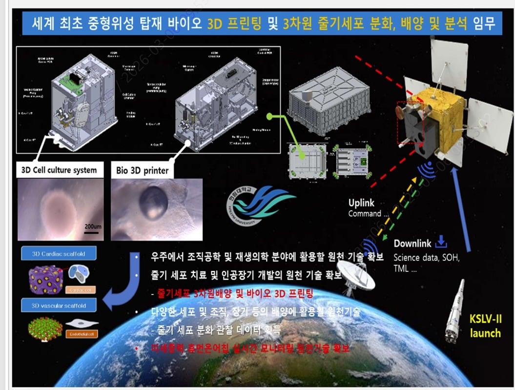 본문 이미지 - 바이오캐비닛.(한림대학교 의료원 제공)