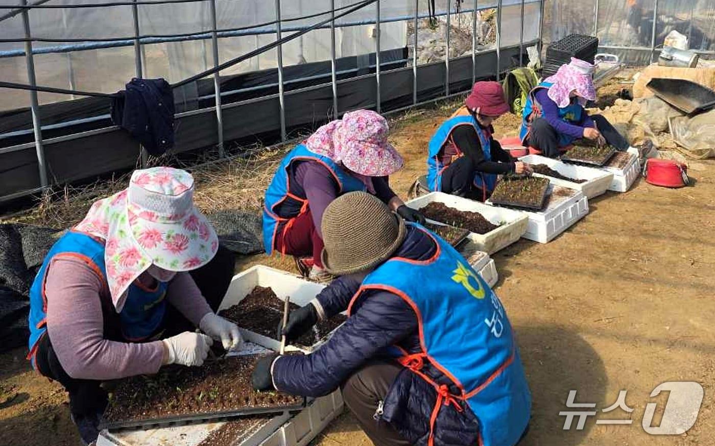 본문 이미지 - 충북 괴산군 청천농협은 농가주부모임 회원들과 함께 일손이 부족한 농가를 찾아 농촌일손돕기를 진행했다.(농협괴산군지부 제공. 재판매 및 DB금지)