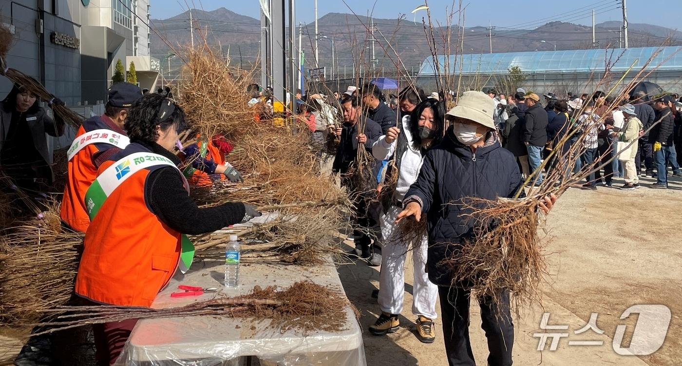본문 이미지 - 경산묘목영농조합법인이 오는 28일 오전 10시 경산 종묘유통센터에서 '묘목 나눔행사'를 개최한다.(경산시 제공. 재판매 및 DB금지)/뉴스1