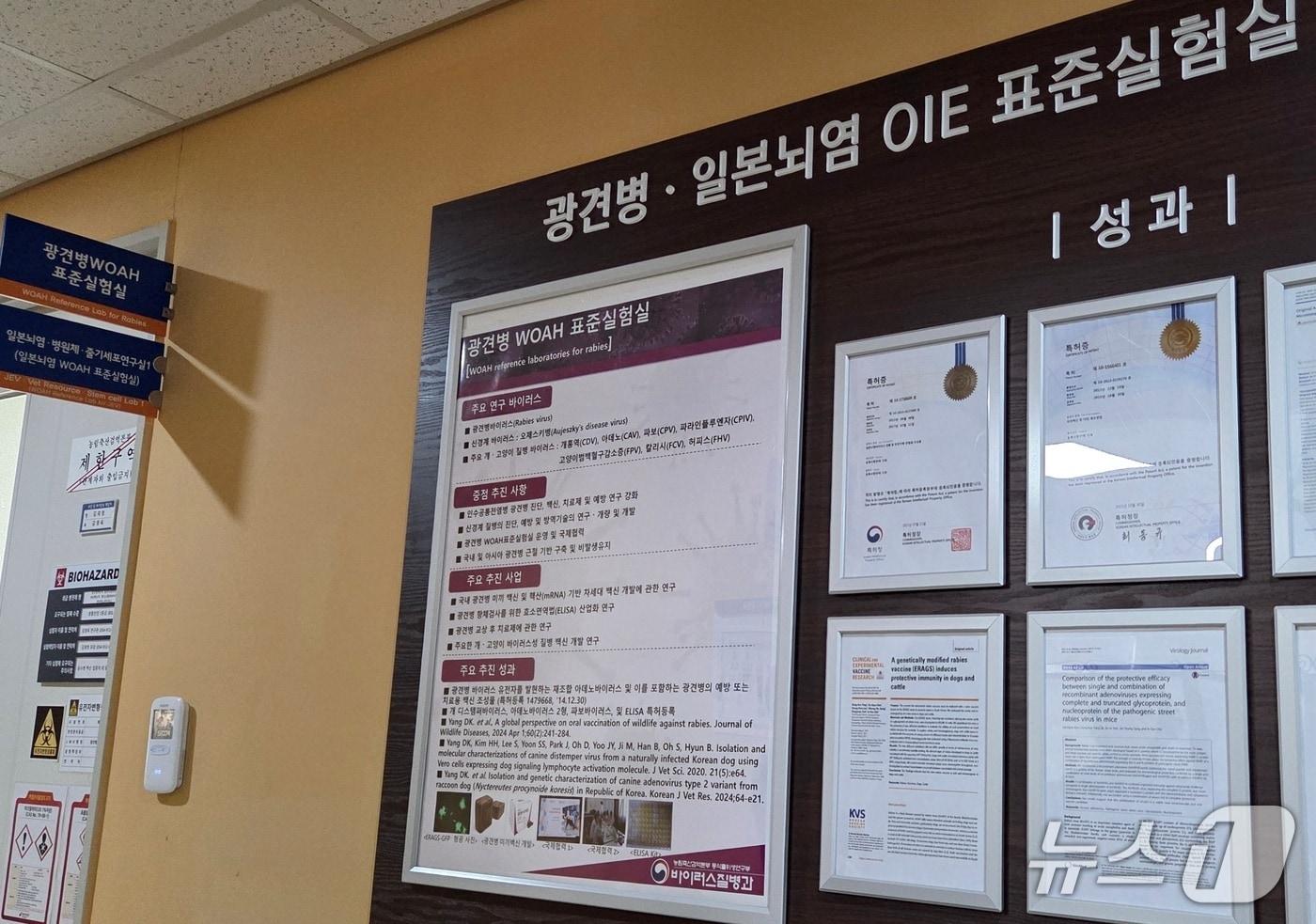 본문 이미지 - 농림축산검역본부 내 줄기세포연구실 ⓒ 뉴스1 최서윤 기자