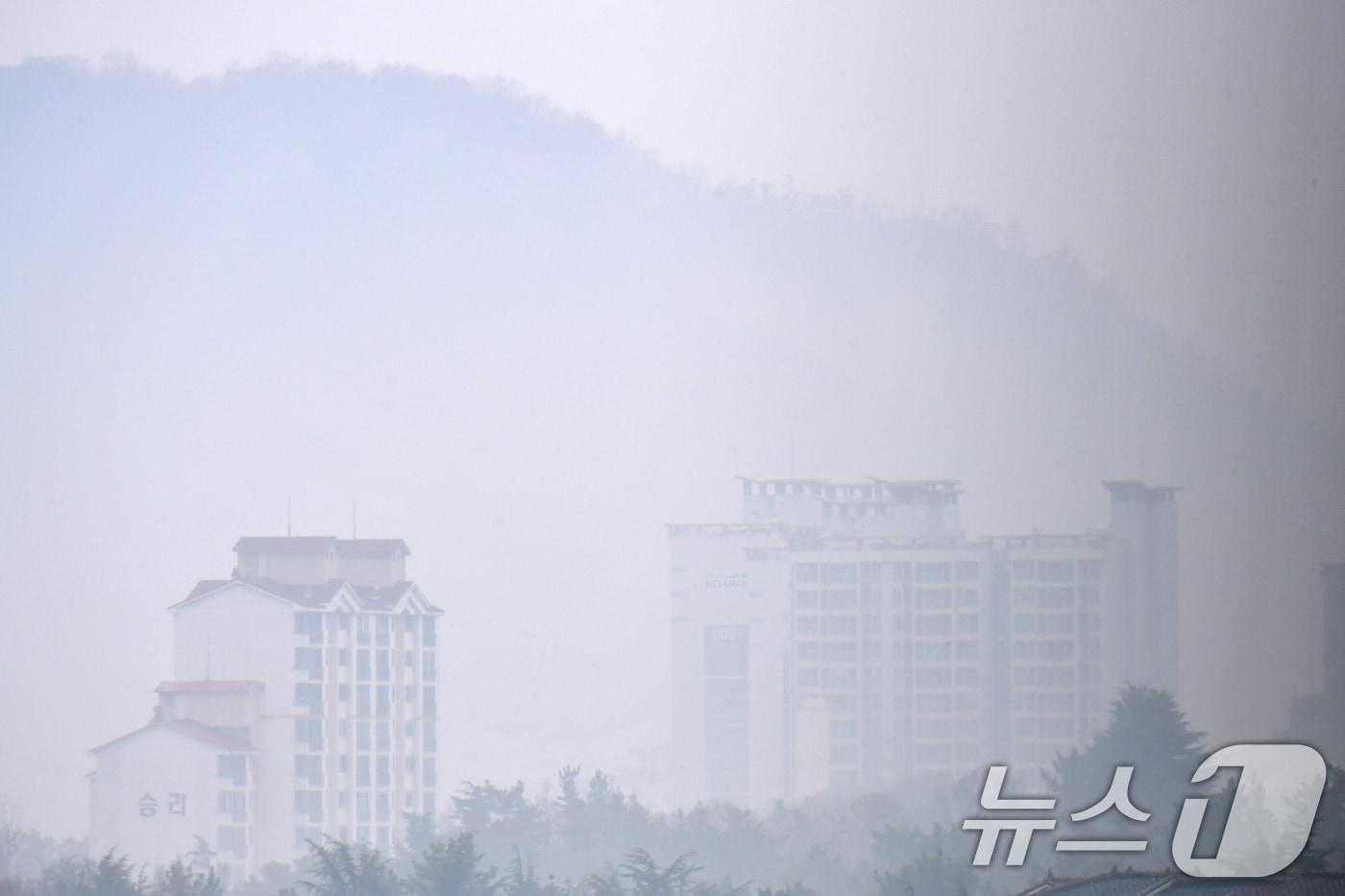 본문 이미지 - 18일 오전 경북 포항시 전역에 봄비가 내리는 가운데 남구 연일읍에 있는 고층 아파트 주변이 안개에 덮여있다. 2026.3.18 ⓒ 뉴스1 최창호 기자