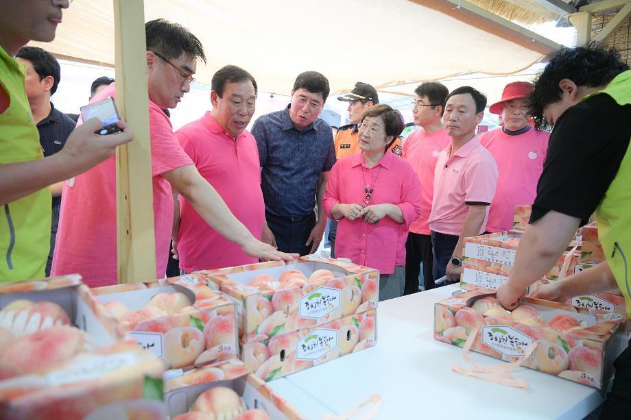 본문 이미지 - 지난해 조치원복숭아축제. (세종시 제공. 재판매 및 DB 금지)