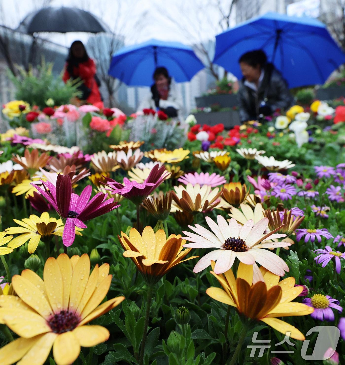 본문 이미지 - 날씨 자료 사진. 2026.3.18 ⓒ 뉴스1 오대일 기자