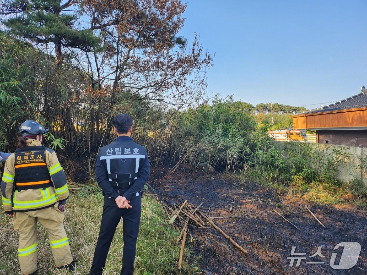 본문 이미지 - 산불 특별 기동단속반 점검 모습.(전남도 제공. 재판매 및 DB금지)2026.3.18/뉴스1
