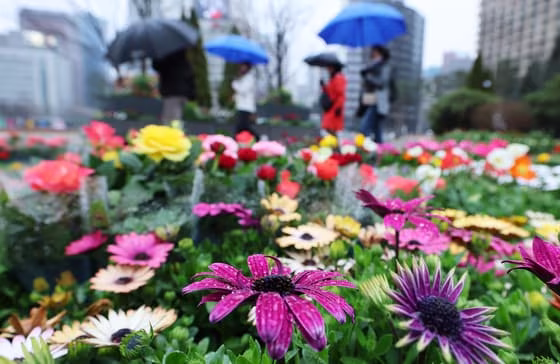 본문 이미지 - 자료사진