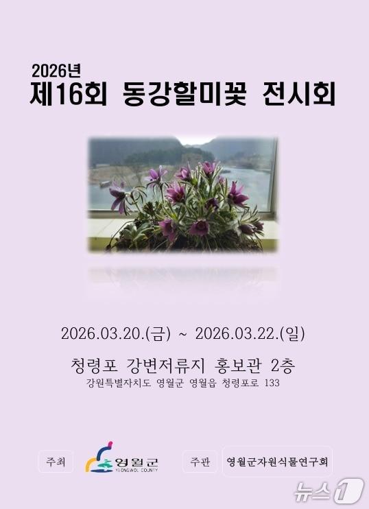 본문 이미지 - 제16회 동강할미꽃 전시회 포스터. (영월군 제공. 재판매 및 DB금지) 2026.3.18/뉴스1