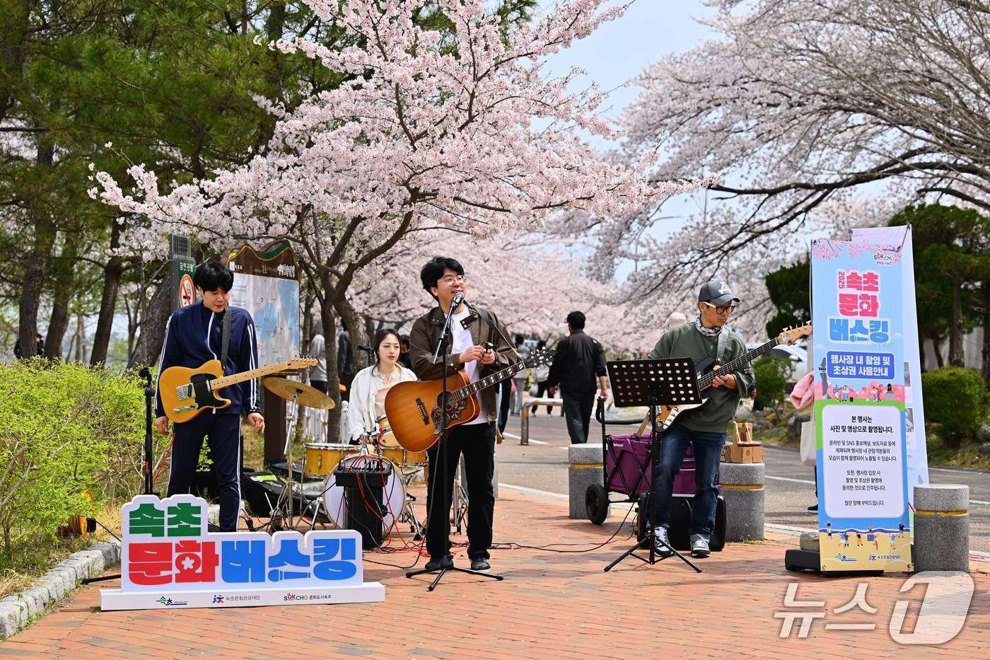 본문 이미지 - 지난해 영랑호 벚꽃축제 속초문화버스킹 당시.(속초시 제공, 재판매 및 DB 금지) 2026.3.18/뉴스1