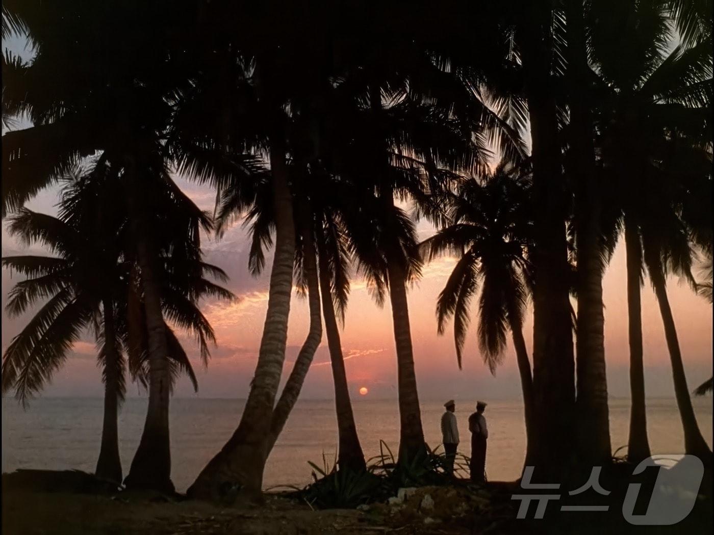 본문 이미지 - 판 후 작 Island Fever(섬의 열몽) (ACC재단 제공. 재판매 및 DB금지) ⓒ 뉴스1 