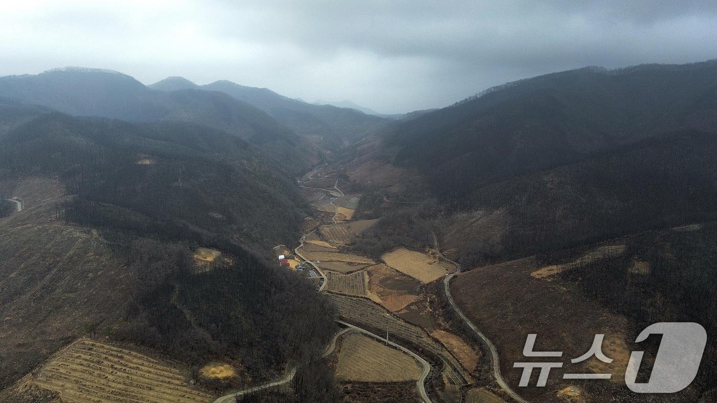 본문 이미지 - 산불 피해 지역.(사진은 기사 내용과 무관함) / 뉴스1 ⓒ News1