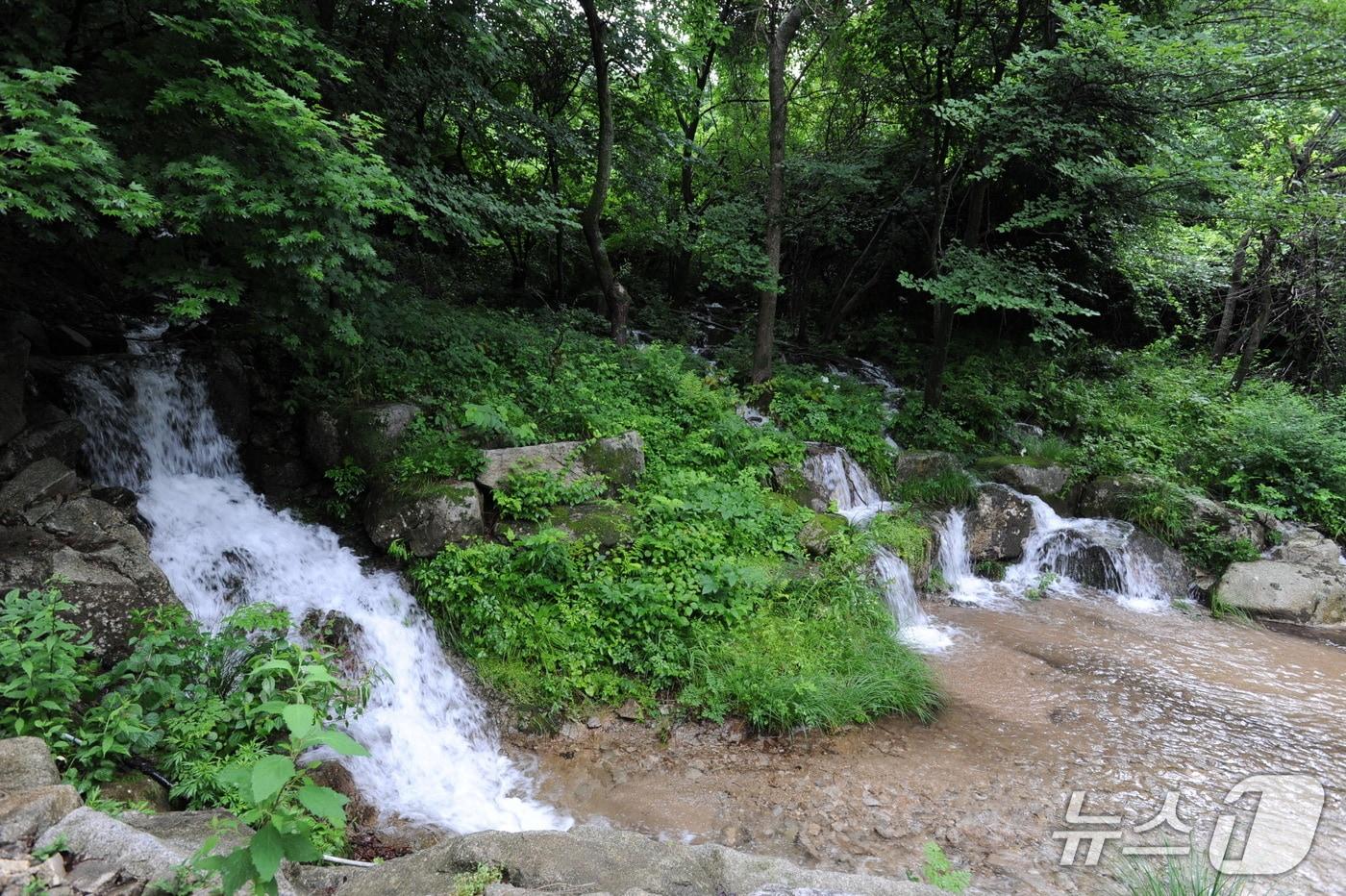 본문 이미지 - 화천 광덕계곡.(화천군 제공, 재판매 및 DB금지)