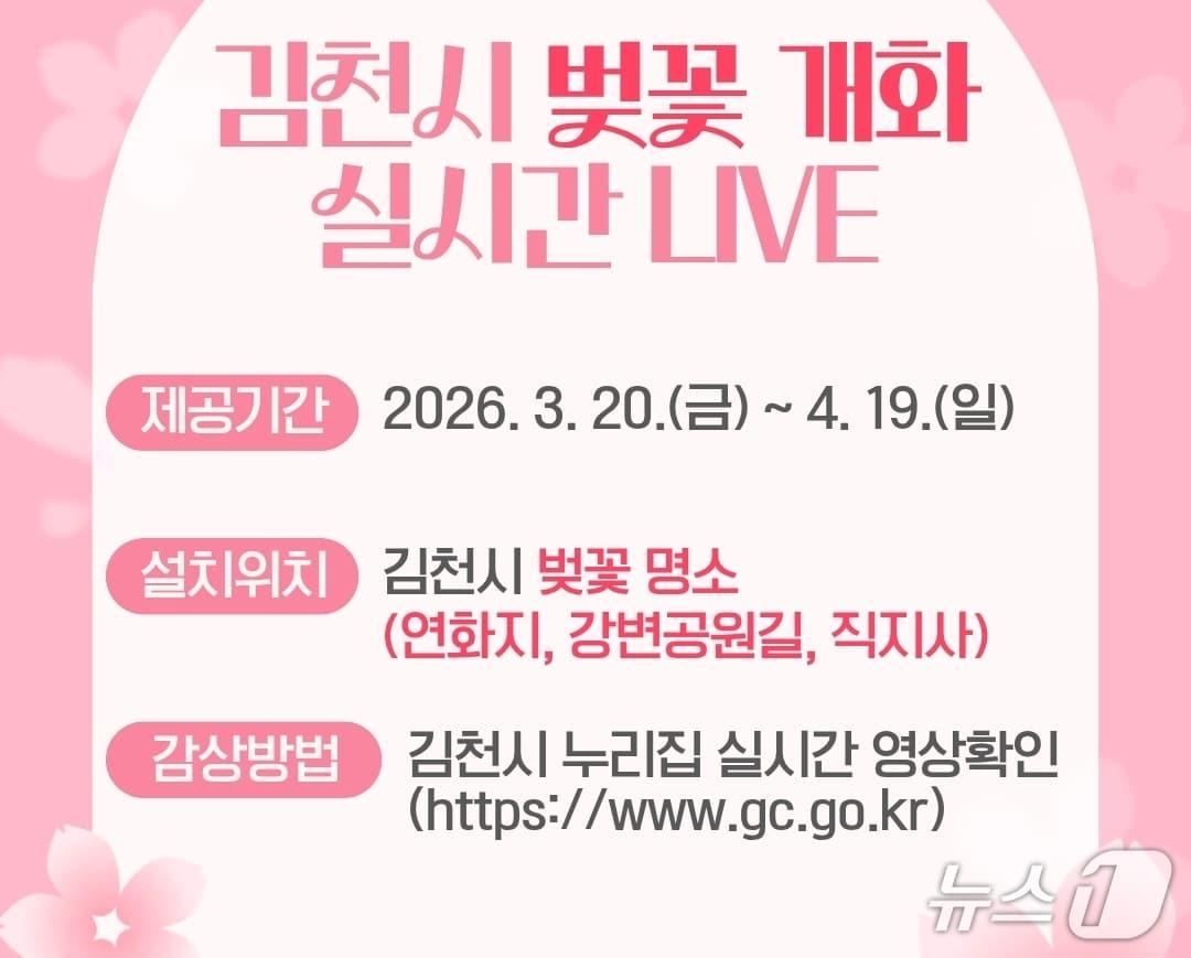 본문 이미지 - 경북 김천시는 벚꽃 개화 시기를 오는 20일부터 4월 19일까지 실시간으로 벚꽃 개화 상황을 확인할 수 있는 '벚꽃 실시간 Live, 지금 바로 봄' 서비스를 김천시 대표 누리집을 통해 제공한다. (김천시 제공. 재판매 및 DB금지)/뉴스1