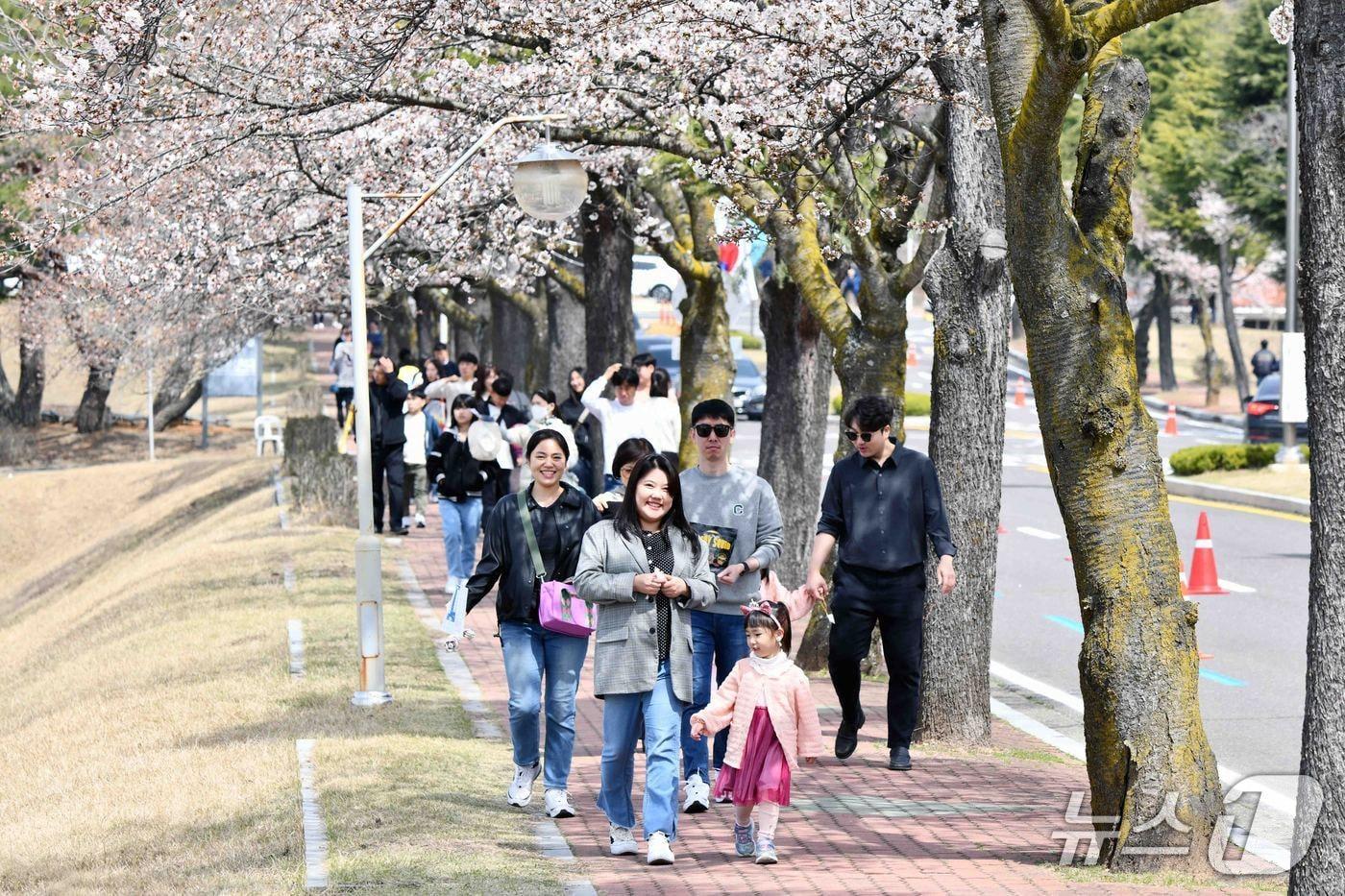 본문 이미지 - 공군교육사령부의 부대 개방 행사(공군교육사 제공. 재판매 및 DB금지).
