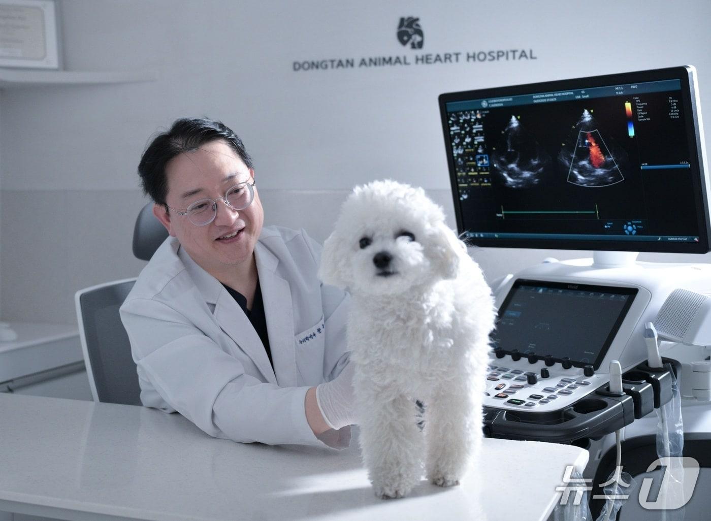 본문 이미지 - 한동현 원장이 반려견을 진료하고 있다(동탄동물심장병원 제공). ⓒ 뉴스1