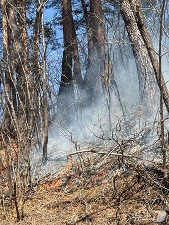 본문 이미지 - 강원 태백 장죽동 산불 현장.(강원도 제공, 재판매 및 DB금지)