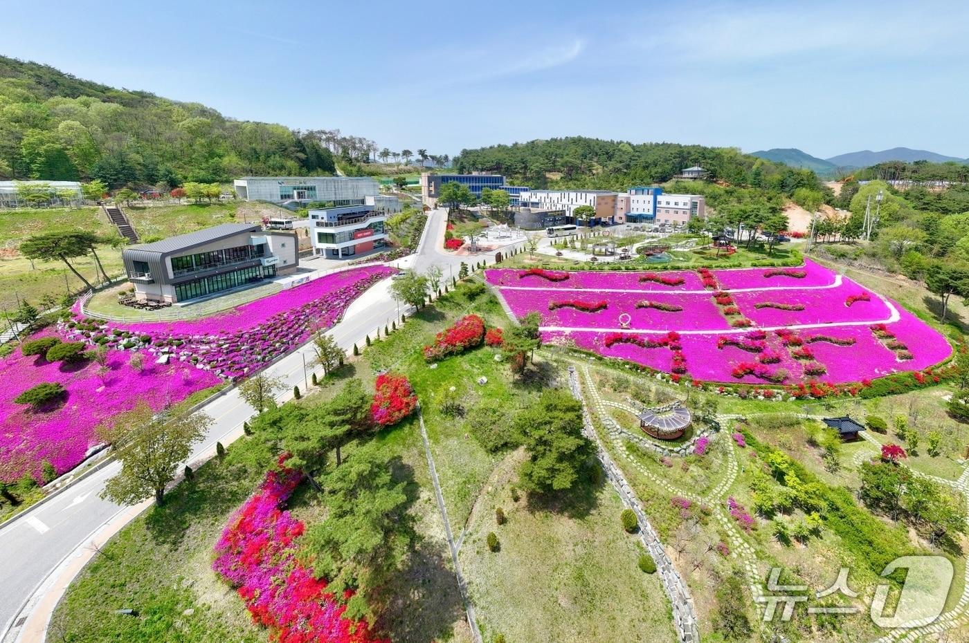 본문 이미지 - 전북 순창군 소재 쉴랜드 전경.(순창군 제공. 재판매 및 DB금지)/뉴스1