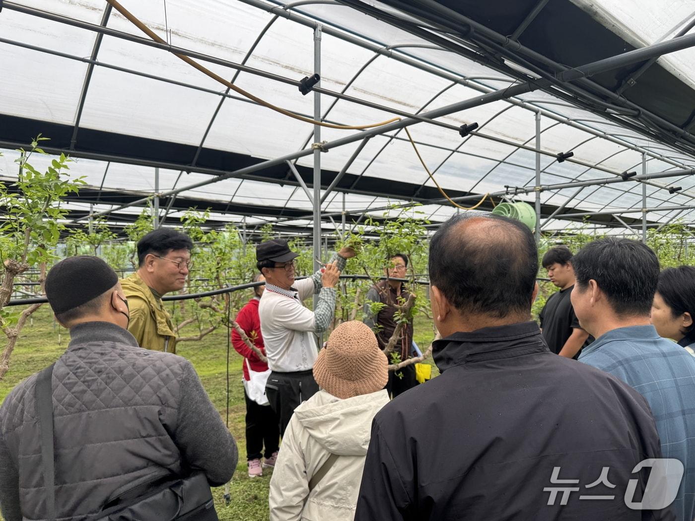 본문 이미지 -  신규 농업인 영농정착 기술교육 장면(보은군 제공. 재판매 및 DB금지) 