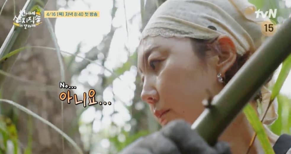 본문 이미지 - tvN