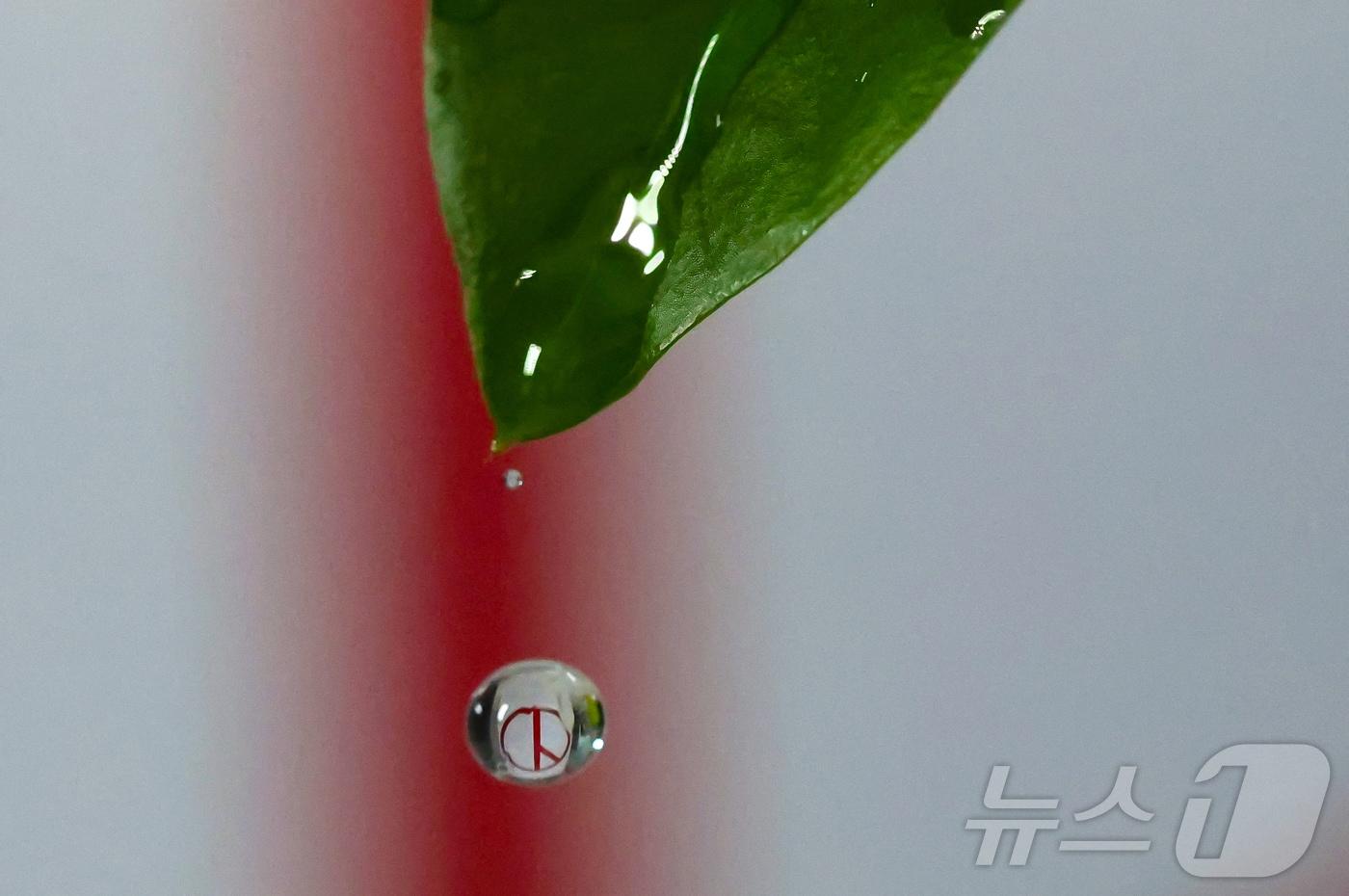 본문 이미지 - ‘세계 물의 날’인 20일 물방울 속에 기표 모양이 담겨있다. 한 방울의 물처럼 소중한 한 표가 오는 6월 3일 지방선거에서 지역의 미래를 결정짓는다는 의미를 담았다.ⓒ 뉴스1 김기태 기자