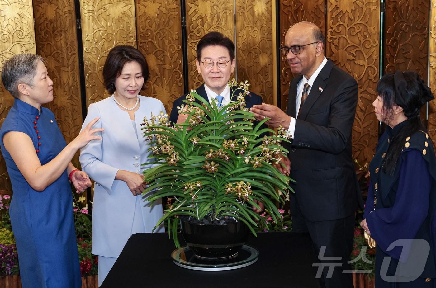 본문 이미지 - 싱가포르를 국빈 방문 중인 이재명 대통령과 김혜경 여사가 2일(현지 시간) 싱가포르 외교부에서 타르만 샨무가라트남 대통령, 부인 제인 이토기 샨무가라트남 여사와 정상회담에 앞서 난초에 대한 설명을 듣고 있다. 난초는 싱가포르의 국화로, 난초명명식은 외국 정상 등 주요 인사의 싱가포르 방문 시 난초 교배종에 방문 인사의 이름을 붙이는 행사다. 2026.3.2 ⓒ 뉴스1 허경 기자