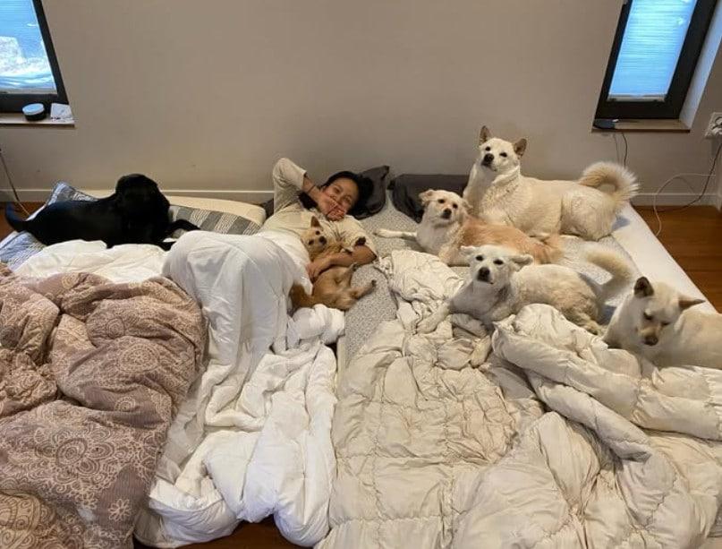 본문 이미지 - 이효리 SNS