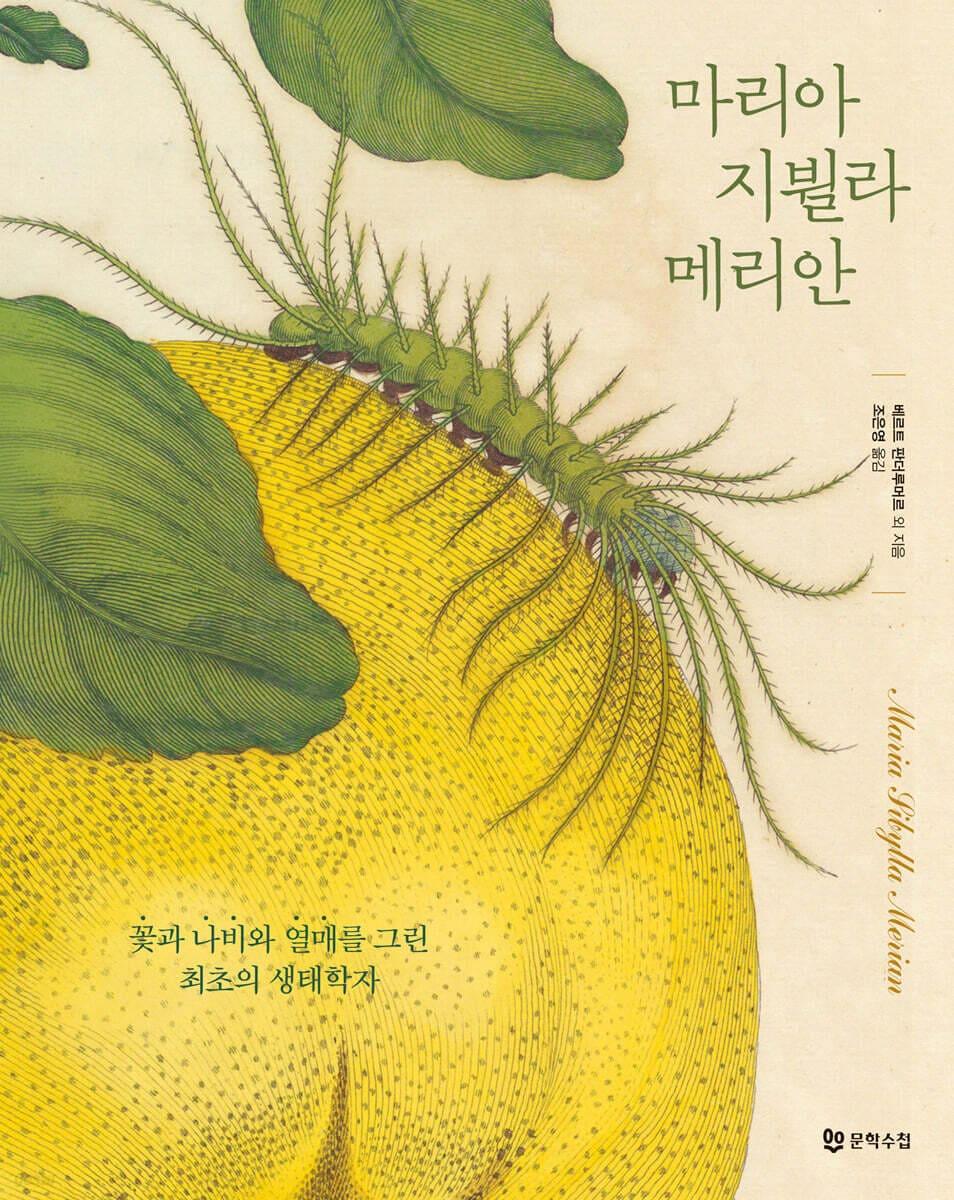 본문 이미지 - [신간] '마리아 지뷜라 메리안'