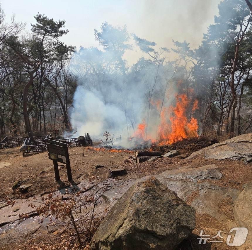 본문 이미지 - 화재 현장. (경기도소방재난본부 제공. 재판매 및 DB금지) 2026.3.12/뉴스1