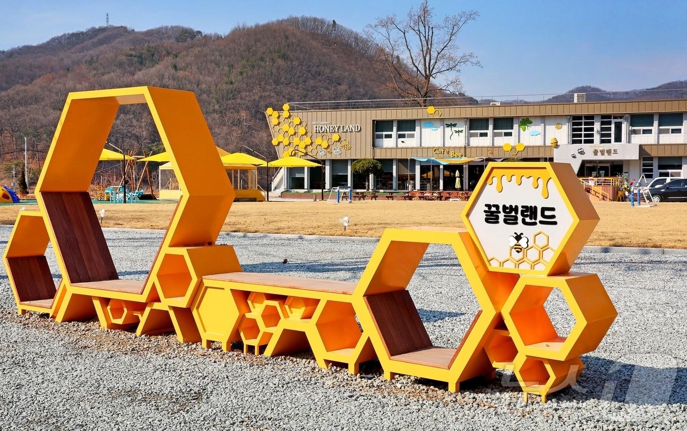 본문 이미지 - 괴산 꿀벌랜드 ⓒ 뉴스1
