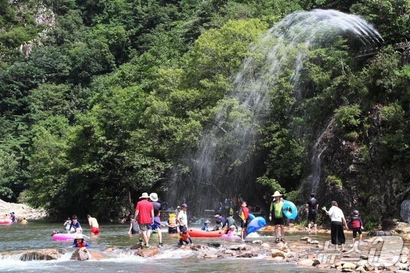본문 이미지 - 보은 서원계곡을 찾은 피서객들.  사진은 기사 내용과 관련 없음. (보은군 제공. 재판매 및 DB금지) 