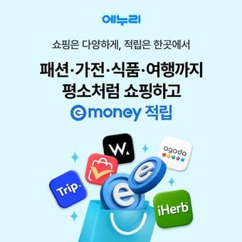 본문 이미지 - 에누리 가격비교 쇼핑적립(커넥트웨이브 제공)