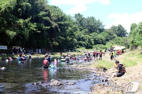 본문 이미지 -  서귀포시 강정천./뉴스1