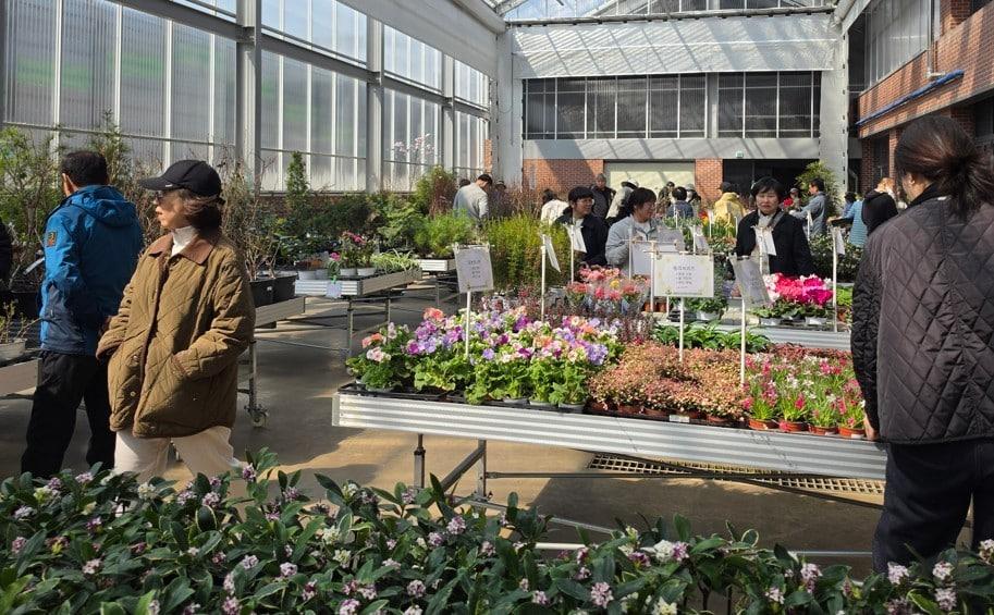 본문 이미지 - 19회 세종 전의 조경수 묘목축제 개막. (세종시 제공. 재판매 및 DB 금지)