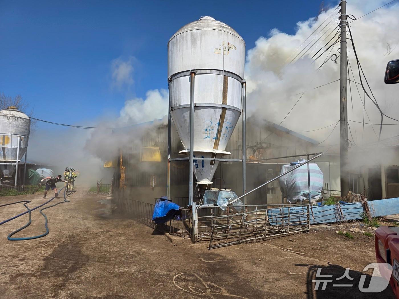 본문 이미지 - 20일 오후 1시 4분께 전북 고창군 고창읍의 한 돈사에서 불이 났다.(전북소방본부 제공. 재판매 및 DB금지)