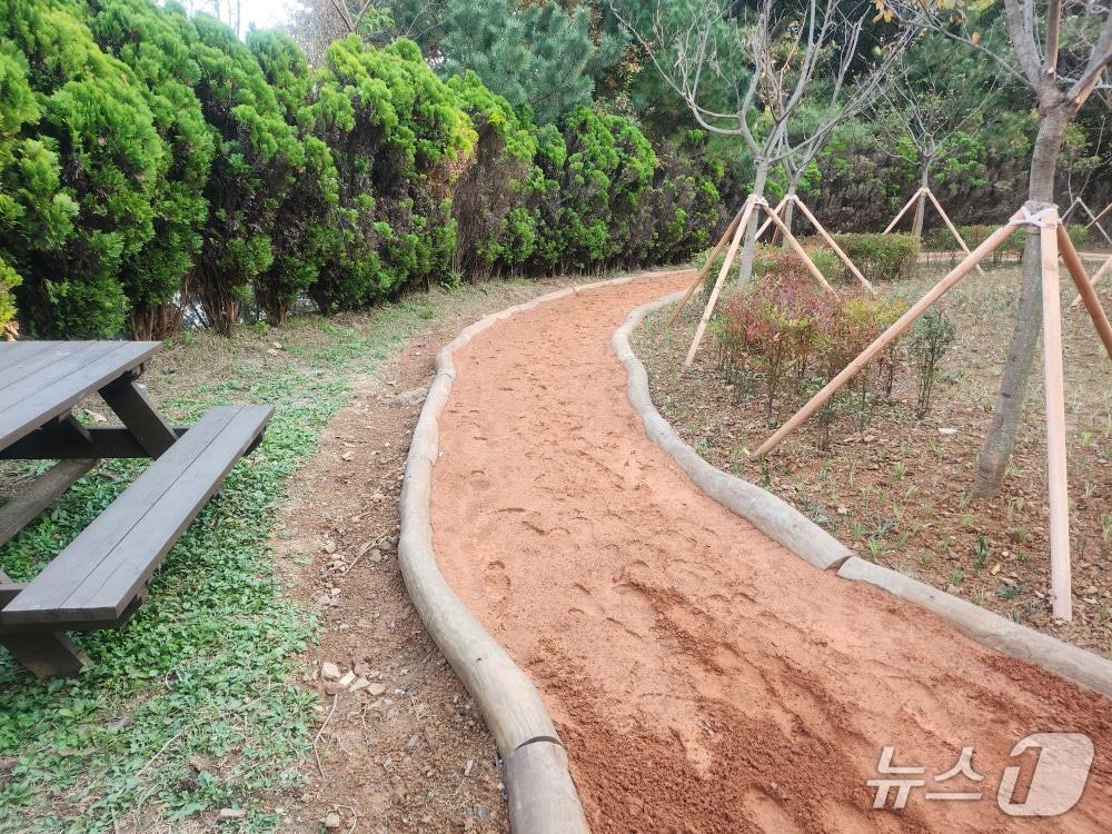 본문 이미지 - 지난해 조성된 성연면 테크노숲속공원 황톳길(서산시 제공. 재판매 및 DB금지)2026.3.20/뉴스1
