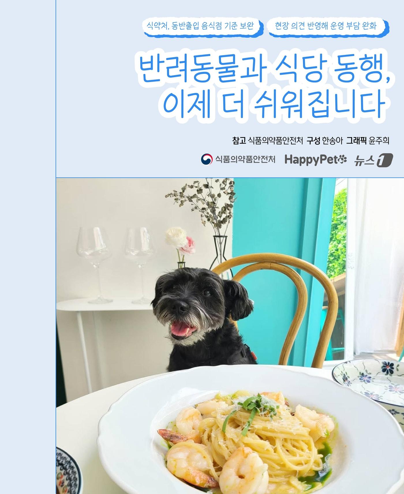 본문 이미지 - ⓒ 뉴스1 윤주희 디자이너