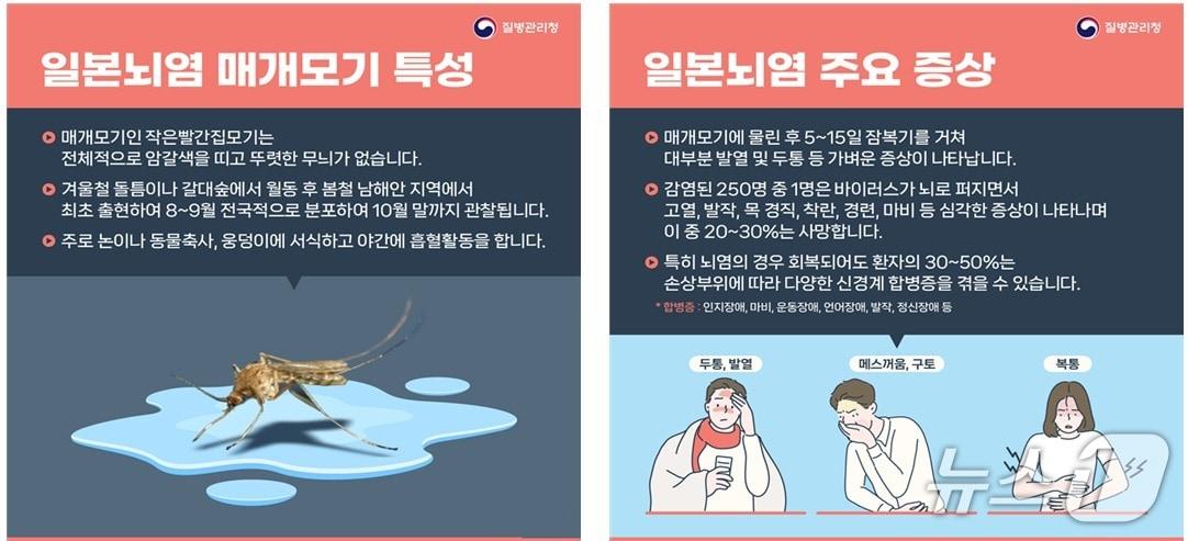 본문 이미지 - (질병청 제공)