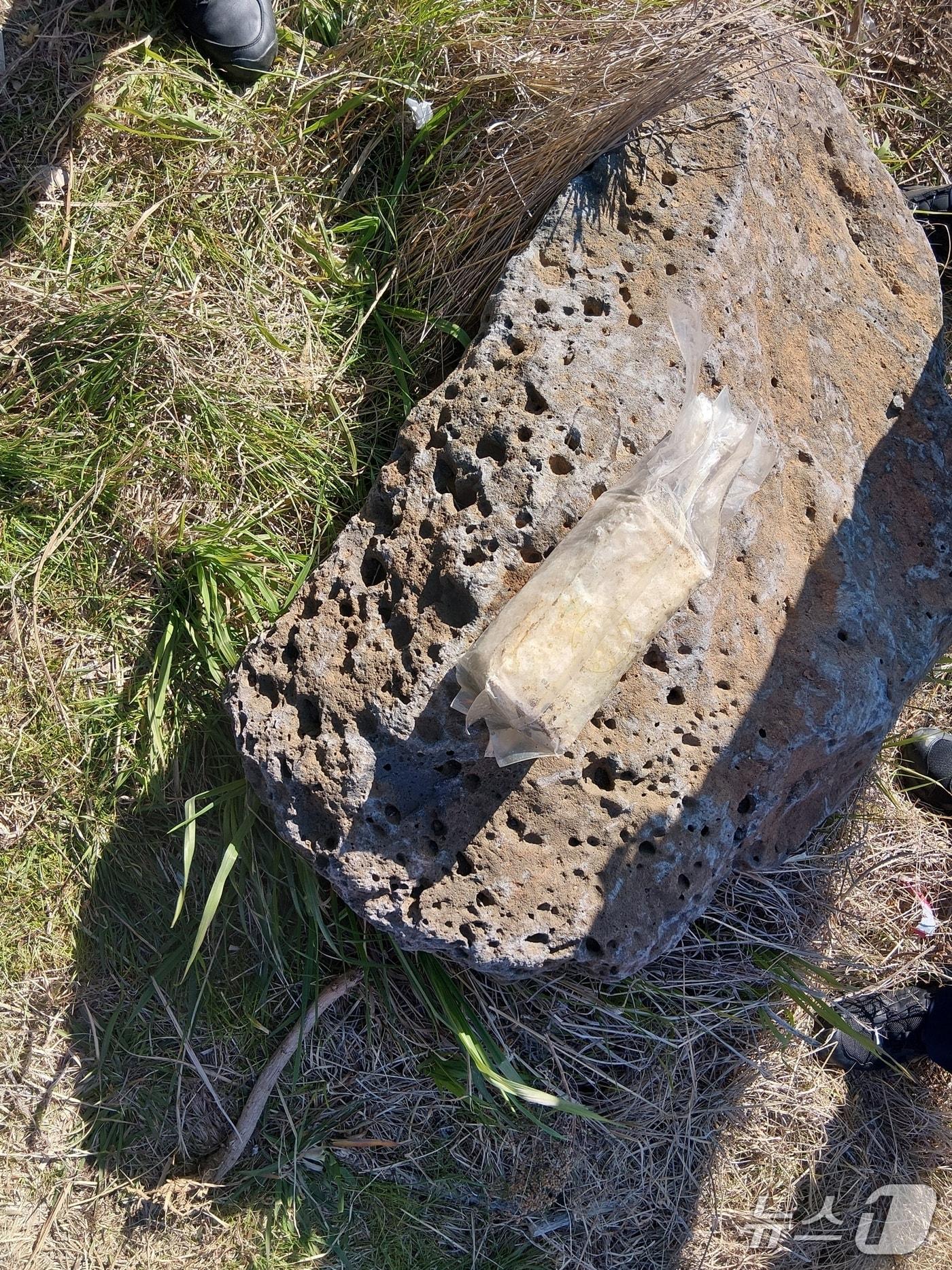 본문 이미지 - 마약류가 든 차 봉지(서귀포해경 제공. 재판매 및 DB금지)/뉴스1