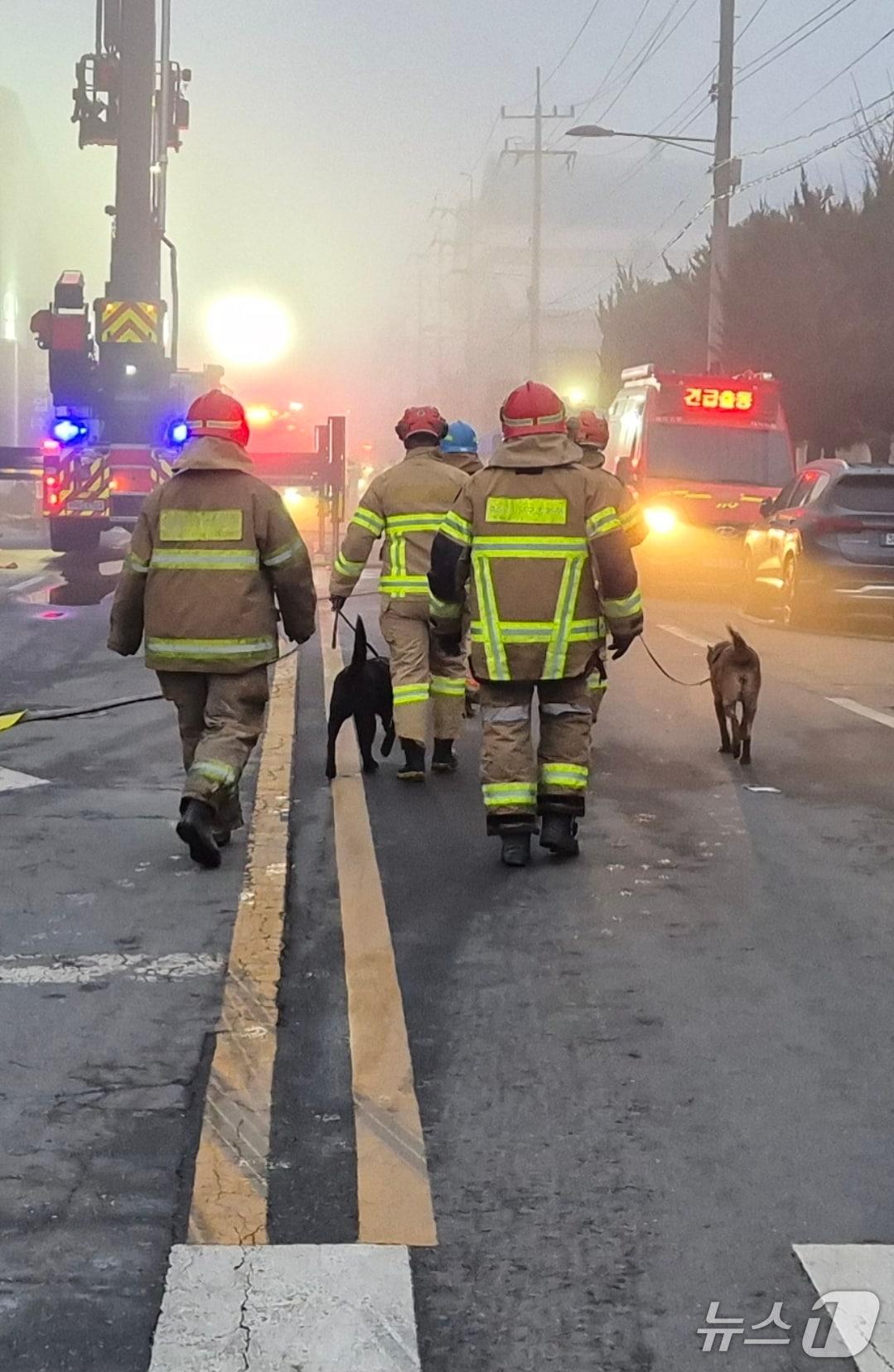 본문 이미지 - 21일 소방 당국이 대전 대덕구 문평동 자동차 부품공장 화재 현장에서 실종된 4명에 대한 수색을 위해 인명구조견을 투입하고 있다. 2026.3.21 ⓒ 뉴스1 최형욱 기자 