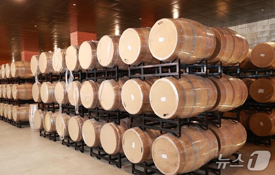 본문 이미지 - 강원 영월군 예밀 와이너리 슬로타운 자료 사진. (영월군 제공. 재판매 및 DB금지) 2026.3.21/뉴스1