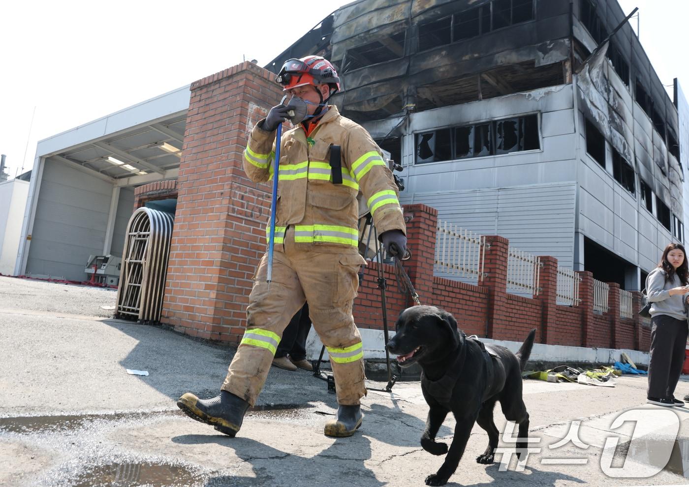 본문 이미지 - 21일 대형 화재로 인명피해가 발생한 대전 대덕구 자동차 부품 제조 공장에 구조견이 투입 되고 있다. 2026.3.21 ⓒ 뉴스1 김기태 기자