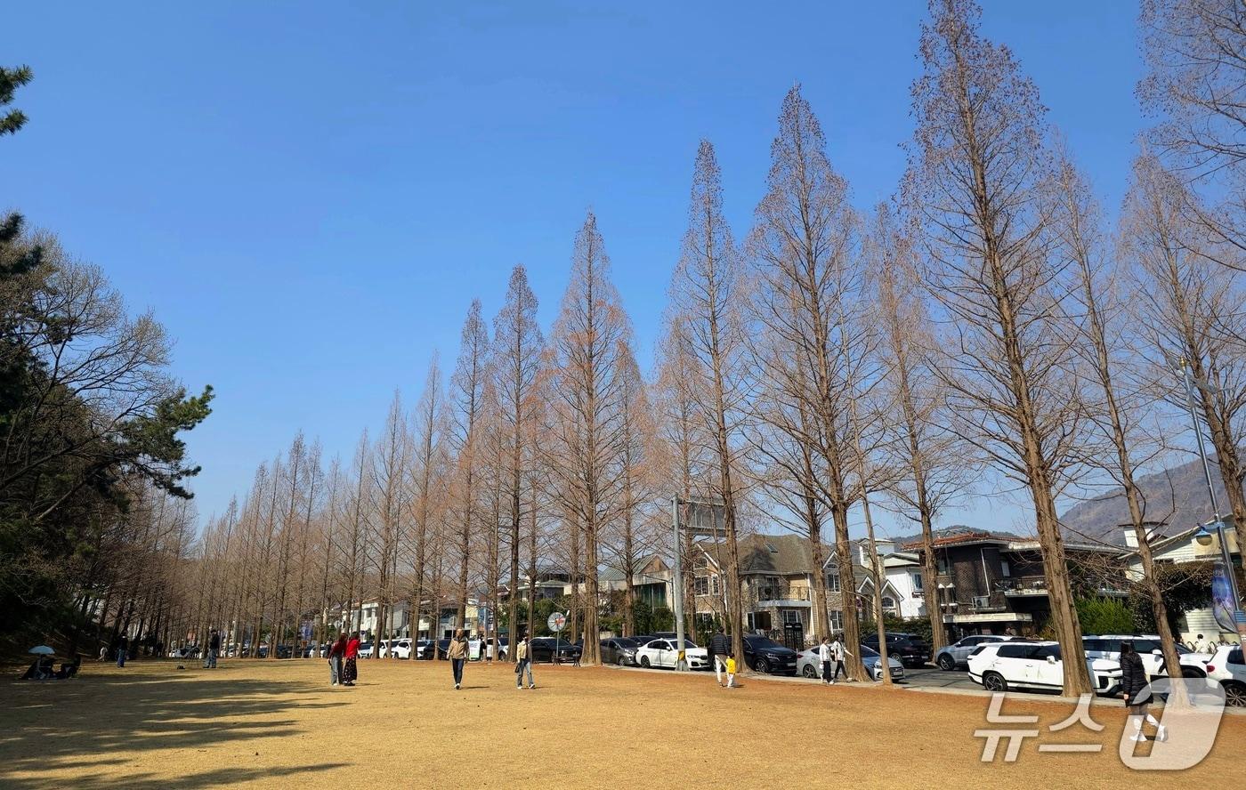 본문 이미지 - 21일 경남 창원시 용호동 가로수길에서 시민들이 포근한 봄 날씨를 즐기며 여유로운 시간을 보내고 있다.2026.3.21 ⓒ 뉴스1 이주현 기자