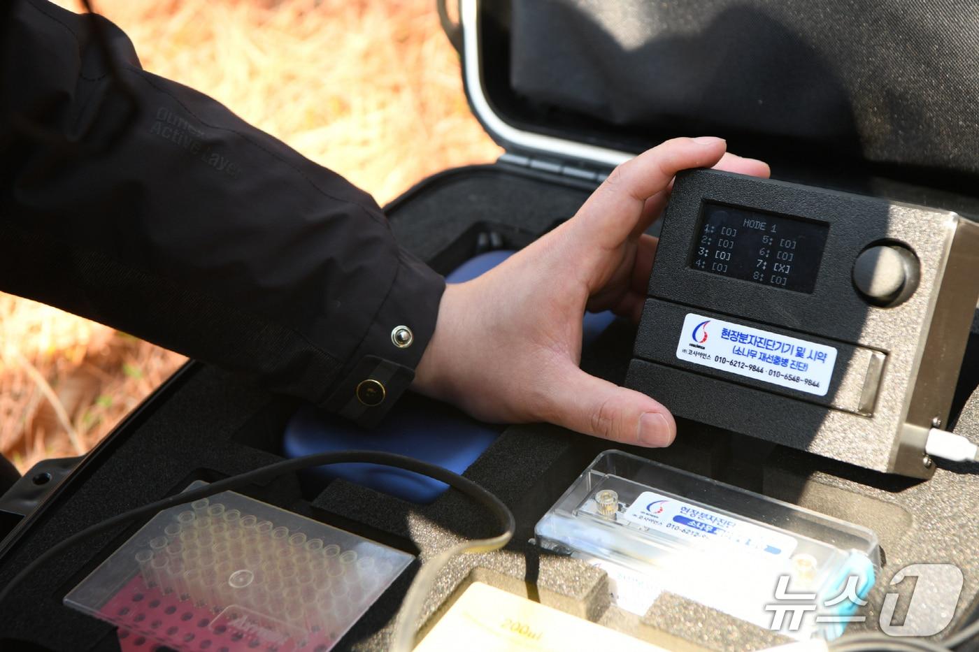 본문 이미지 - 소나무재선충병 유전자 진단키트.(전남도 제공. 재판매 및 DB금지)2026.3.21/뉴스1