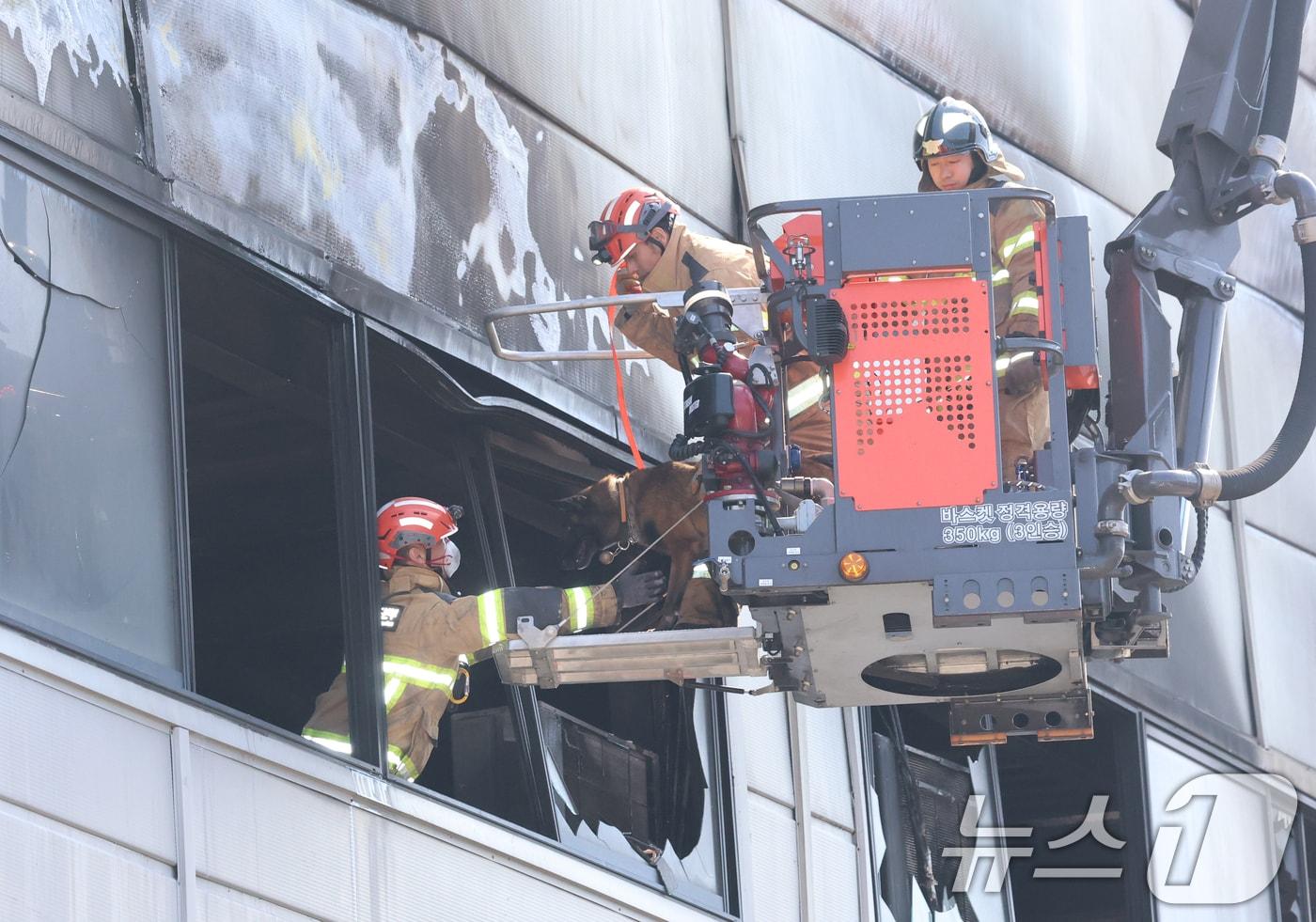 본문 이미지 - 21일 대형 화재로 인명피해가 발생한 대전 대덕구 자동차 부품 제조 공장에서 실종자를 수색하기 위해 구조견이 투입되고 있다. 2026.3.21 ⓒ 뉴스1 김기태 기자