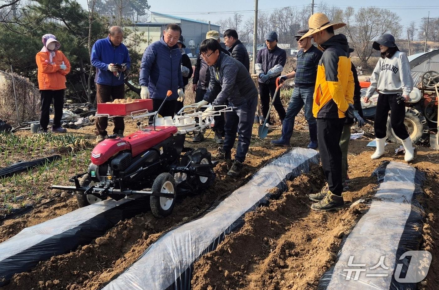 본문 이미지 - 충북 진천군 농업기술센터 농촌지원과 직원 20여 명은 21일 덕산읍 인산리 농가를 찾아 봄철 일손돕기 활동을 펼쳤다.(진천군 제공. 재판매 및 DB금지)