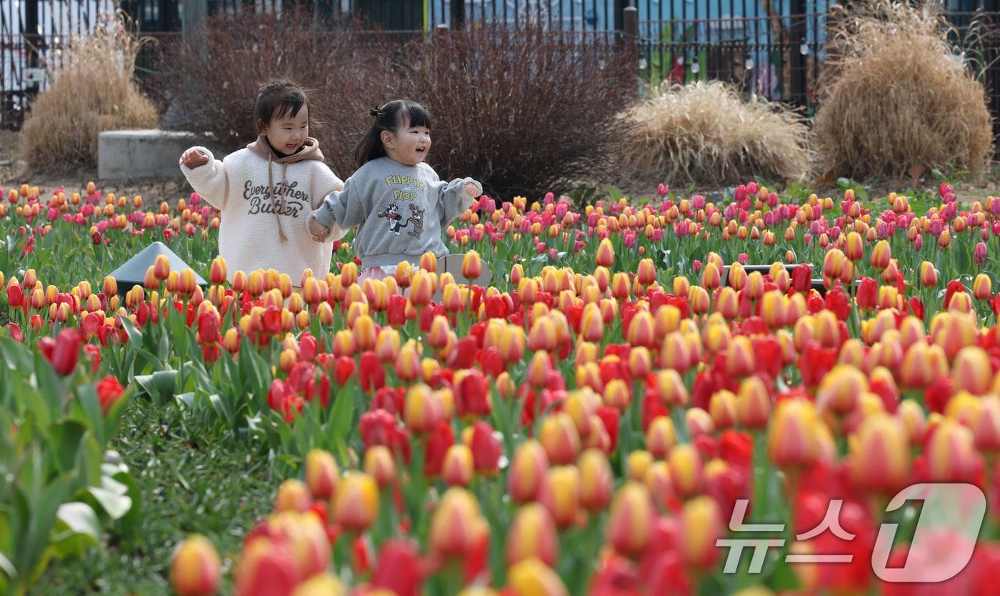 본문 이미지 - 22일 경기 용인시 처인구 에버랜드 포시즌스가든을 찾은 아이들이 튤립 사이에서 추억을 남기고 있다. 에버랜드는 튤립, 수선화, 무스카리 등 100여 종 약 120만 송이의 봄꽃을 선보이는 튤립축제를 지난 20일부터 다음 달 30일까지 선보인다. 2026.3.22 ⓒ 뉴스1 김영운 기자