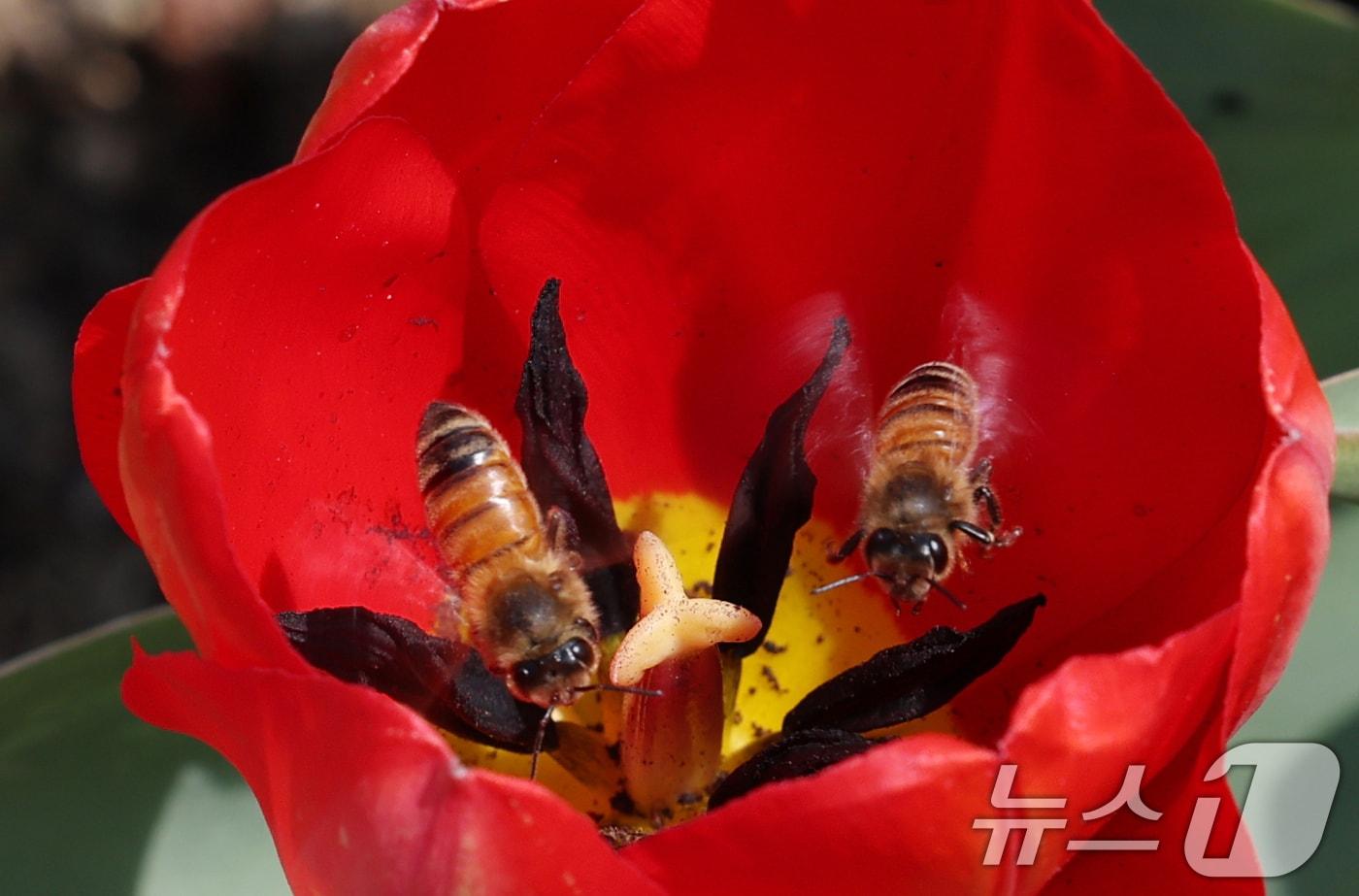 본문 이미지 - (사진은 기사 내용과 무관함) 2026.3.22 ⓒ 뉴스1 김영운 기자