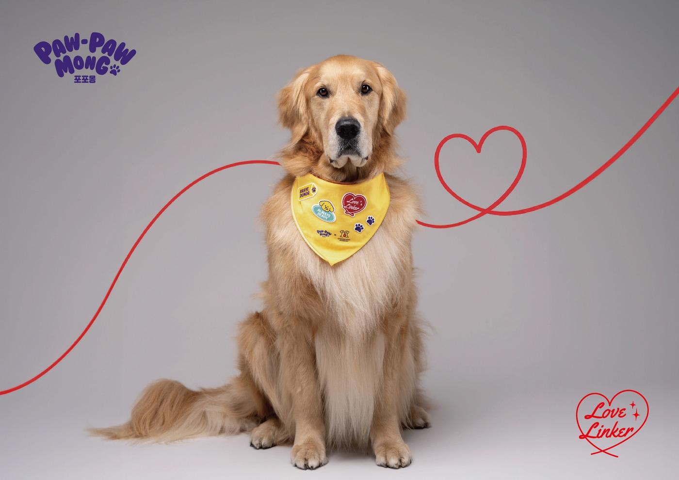 본문 이미지 - 깨끗한나라 포포몽 (깨끗한나라 제공)