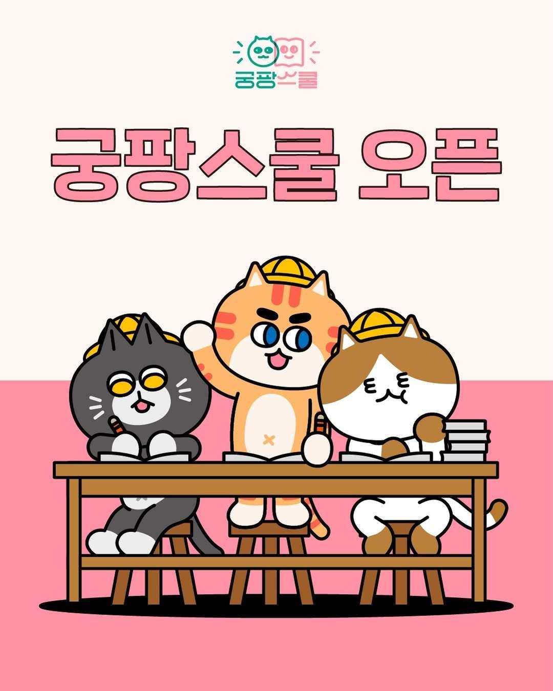 본문 이미지 - 부산 벡스코에서 열리는 고양이 전문 박람회 '궁디팡팡 캣페스타'에서 보호자를 위한 수의사 강의 프로그램 '궁팡스쿨'이 운영된다(업체 제공). ⓒ 뉴스1