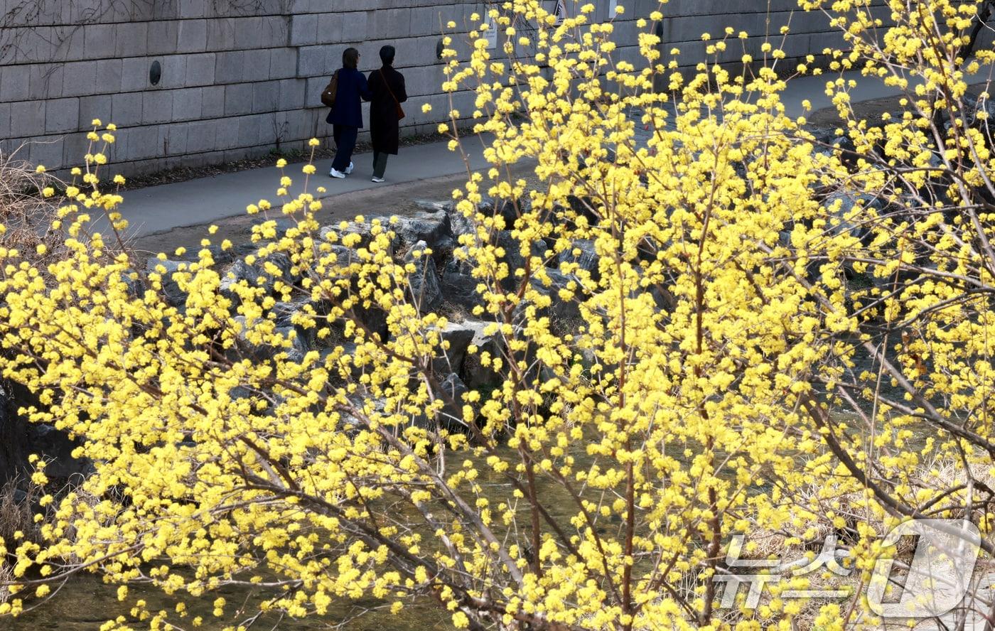 본문 이미지 - 〈자료사진〉